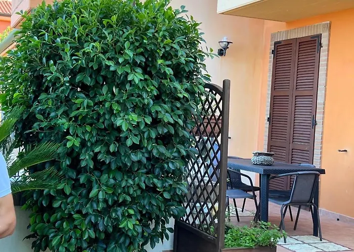 Levata Del Sole Porto Potenza Picena